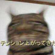 ヒメ日記 2025/12/16 09:00 投稿 れお♡誰もが振り返る最高彼女 ジャックと豆の木