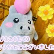 ヒメ日記 2026/02/15 15:10 投稿 れお♡誰もが振り返る最高彼女 ジャックと豆の木