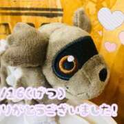 ヒメ日記 2026/02/18 16:15 投稿 れお♡誰もが振り返る最高彼女 ジャックと豆の木