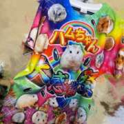 ヒメ日記 2026/02/18 21:55 投稿 れお♡誰もが振り返る最高彼女 ジャックと豆の木