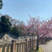ヒメ日記 2026/04/04 10:00 投稿 れお♡誰もが振り返る最高彼女 ジャックと豆の木