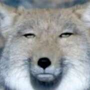 ヒメ日記 2026/04/30 13:22 投稿 れお♡誰もが振り返る最高彼女 ジャックと豆の木