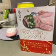 ヒメ日記 2026/06/27 12:58 投稿 れお♡誰もが振り返る最高彼女 ジャックと豆の木
