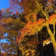 ヒメ日記 2025/11/21 19:06 投稿 おとは でりどす