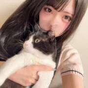ヒメ日記 2026/07/18 23:49 投稿 おとは でりどす