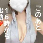 ヒメ日記 2025/04/05 15:32 投稿 やえか スイカ