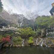 ヒメ日記 2025/04/09 23:59 投稿 やえか スイカ