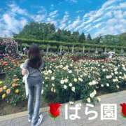 ヒメ日記 2025/05/09 21:50 投稿 やえか スイカ