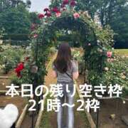 ヒメ日記 2025/05/25 15:25 投稿 やえか スイカ