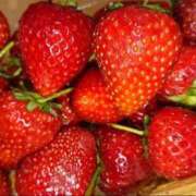 ヒメ日記 2025/02/04 01:44 投稿 うた 池袋おかあさん