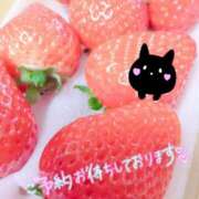 ヒメ日記 2025/02/09 23:16 投稿 うた 池袋おかあさん