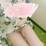 ヒメ日記 2025/04/26 06:24 投稿 うた 池袋おかあさん