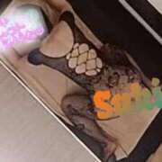 ヒメ日記 2025/03/26 09:55 投稿 さき 横浜熟女MAX