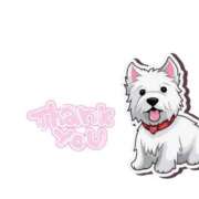 ヒメ日記 2025/02/02 05:02 投稿 らら ちゃんこ藤沢茅ヶ崎店