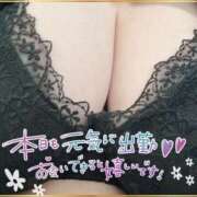 ヒメ日記 2025/02/24 17:03 投稿 らら ちゃんこ藤沢茅ヶ崎店