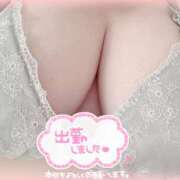 ヒメ日記 2025/03/14 16:32 投稿 らら ちゃんこ藤沢茅ヶ崎店