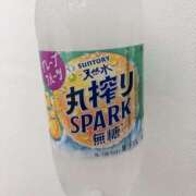 ヒメ日記 2025/04/30 21:32 投稿 らら ちゃんこ藤沢茅ヶ崎店