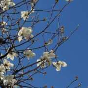 ヒメ日記 2025/03/24 20:01 投稿 巴 シャトーペトラ