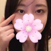 ヒメ日記 2025/04/09 23:56 投稿 巴 シャトーペトラ