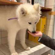 ヒメ日記 2025/04/15 21:17 投稿 巴 シャトーペトラ