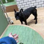 ヒメ日記 2025/01/27 21:12 投稿 めい Triple Pink(トリプルピンク)