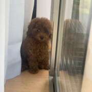 ヒメ日記 2025/03/22 22:05 投稿 めい Triple Pink(トリプルピンク)