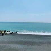 ヒメ日記 2025/04/11 21:13 投稿 めい Triple Pink(トリプルピンク)