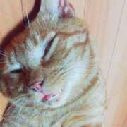 ヒメ日記 2025/05/10 21:58 投稿 めい Triple Pink(トリプルピンク)