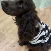 ヒメ日記 2025/06/14 20:36 投稿 めい Triple Pink(トリプルピンク)