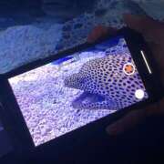 ヒメ日記 2025/07/03 20:39 投稿 めい Triple Pink(トリプルピンク)