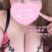 ヒメ日記 2025/04/14 16:30 投稿 なな ぽちゃカワ女子専門店 上野御徒町店