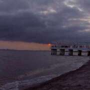 ヒメ日記 2025/12/12 13:14 投稿 なな ぽちゃカワ女子専門店 上野御徒町店