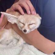 遊間 これから出勤します(∩´∀`∩)💕 川越勃たせる妻たち