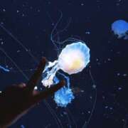 遊間 本日はありがとうございました（｡･ω･｡） 川越勃たせる妻たち