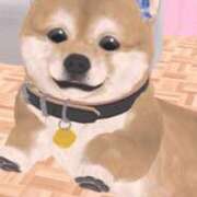 ヒメ日記 2025/02/16 17:50 投稿 のん ウルトラドリーム