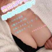 ヒメ日記 2025/12/05 14:29 投稿 桜田　あゆみ イラマチーオ新宿店