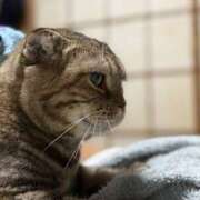 ヒメ日記 2025/10/10 10:20 投稿 こま 吉原アクアパレス