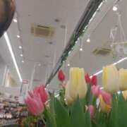 ヒメ日記 2025/01/23 16:19 投稿 島田 珠代 熟女・人妻マダム宮殿