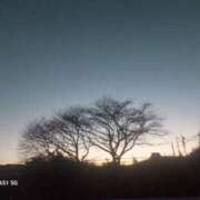 ヒメ日記 2025/01/25 10:31 投稿 島田 珠代 熟女・人妻マダム宮殿