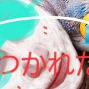 ヒメ日記 2025/02/04 15:28 投稿 島田 珠代 熟女・人妻マダム宮殿