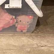 ヒメ日記 2025/03/19 11:09 投稿 ちゃみ 新宿プチドール