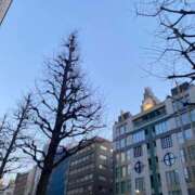 ヒメ日記 2025/03/23 10:29 投稿 ちゃみ 新宿プチドール