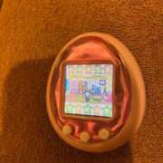 ヒメ日記 2025/03/27 10:36 投稿 ちゃみ 新宿プチドール