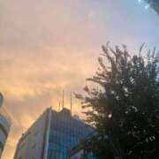 ヒメ日記 2025/09/11 05:49 投稿 ちゃみ 新宿プチドール