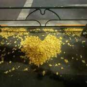 ちゃみ 🍂💛 新宿プチドール