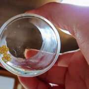 ヒメ日記 2025/02/06 11:33 投稿 まな みこすり半道場 大阪店