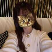 ヒメ日記 2025/02/16 07:15 投稿 せいら 東京メンズボディクリニック TMBC 池袋店