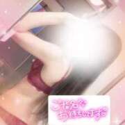 ヒメ日記 2025/07/11 15:02 投稿 怜(れい) 高崎回春性感SPA