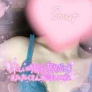 ヒメ日記 2025/09/01 12:02 投稿 怜(れい) 高崎回春性感SPA