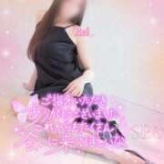 ヒメ日記 2025/09/29 10:30 投稿 怜(れい) 高崎回春性感SPA